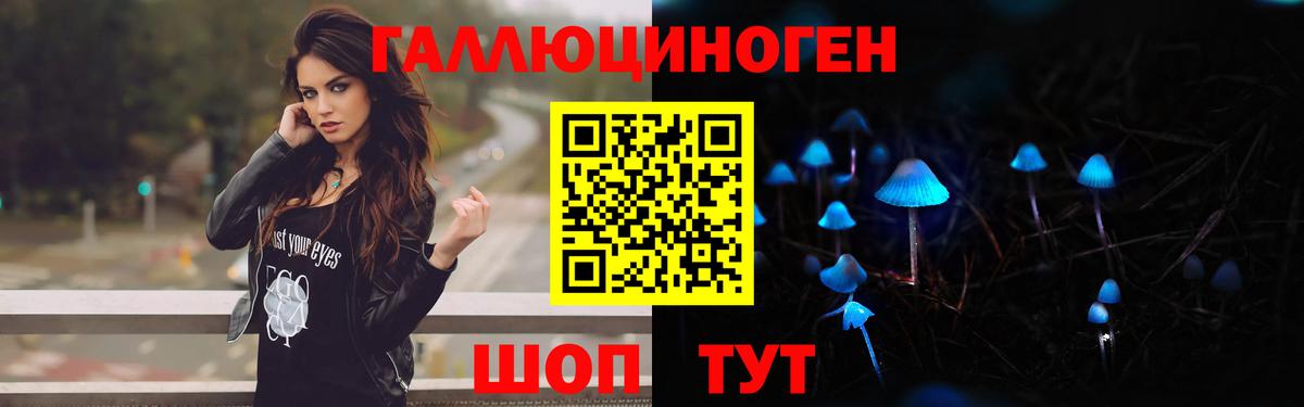 Галлюциногенные грибы Cubensis  Вход с VPN  Кулебаки 